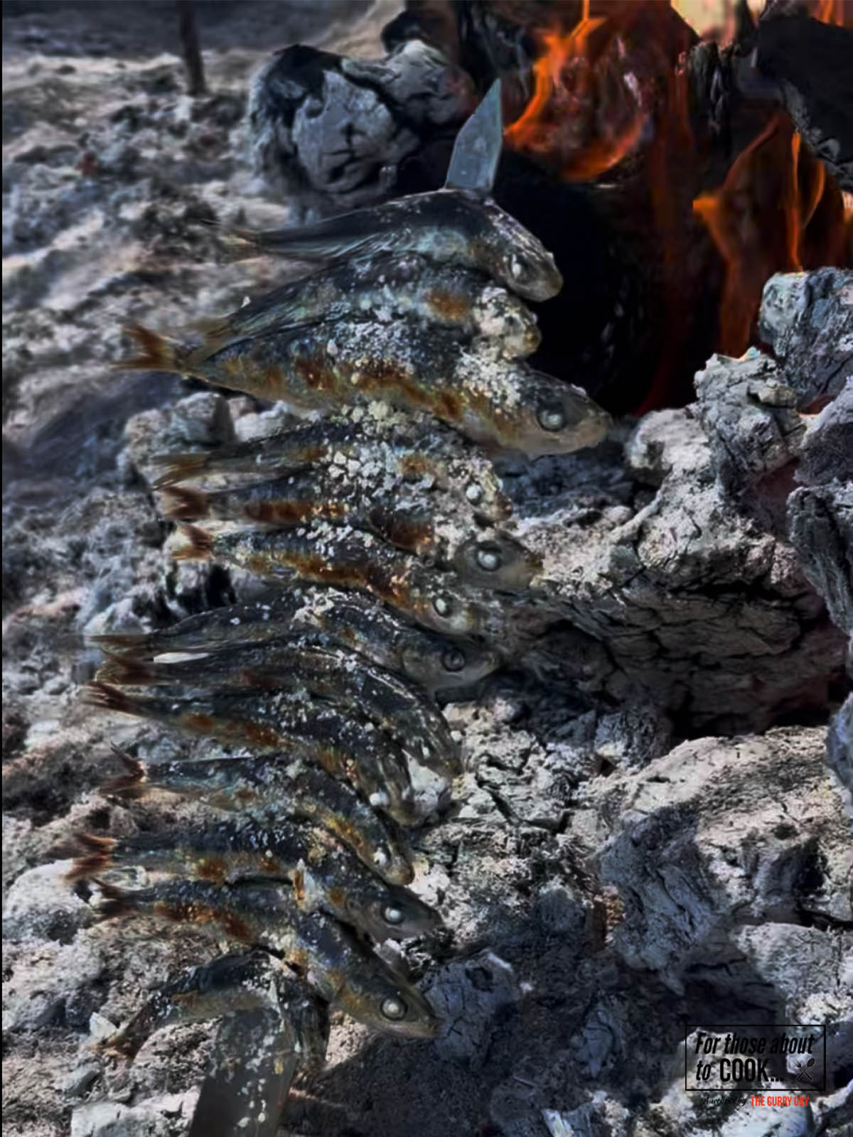 Grilled sardines with salt being cooked in Spain next to a large olive wood fire.