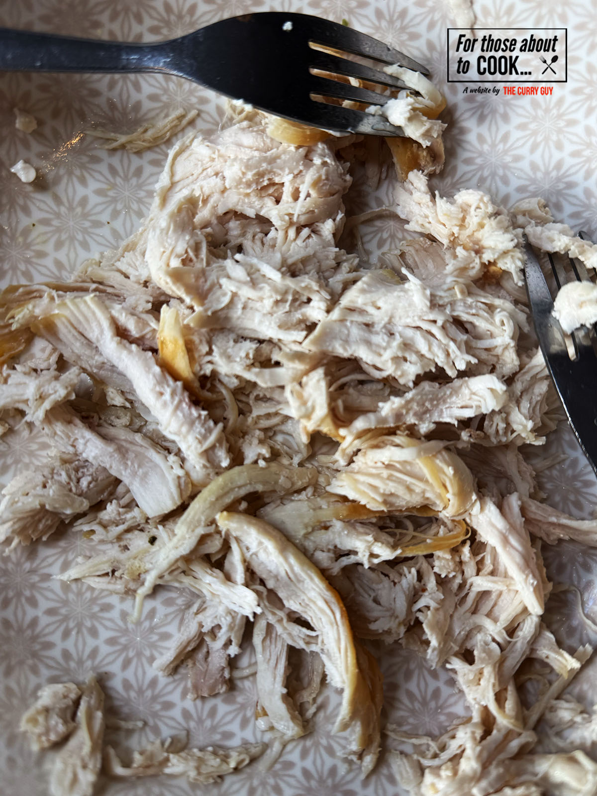 Poached chicken shredded with forks